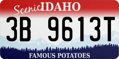 ID license plate 3B9613T