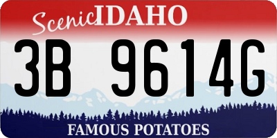 ID license plate 3B9614G