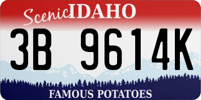 ID license plate 3B9614K