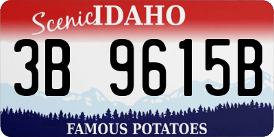ID license plate 3B9615B