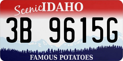 ID license plate 3B9615G