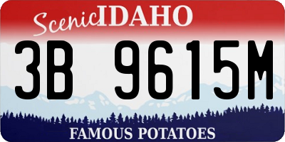 ID license plate 3B9615M
