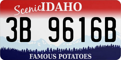 ID license plate 3B9616B