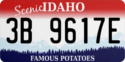 ID license plate 3B9617E