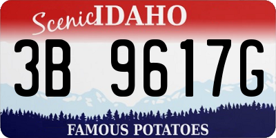 ID license plate 3B9617G