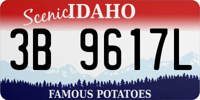 ID license plate 3B9617L