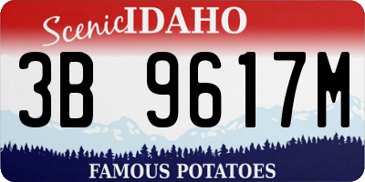ID license plate 3B9617M