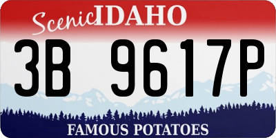 ID license plate 3B9617P