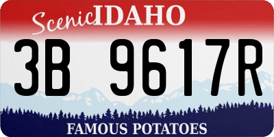ID license plate 3B9617R