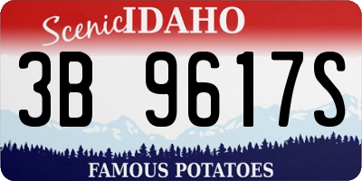 ID license plate 3B9617S
