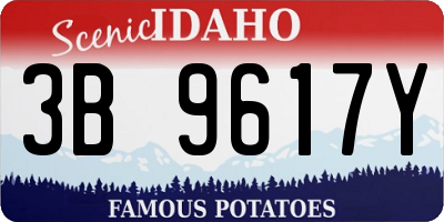 ID license plate 3B9617Y