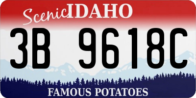 ID license plate 3B9618C