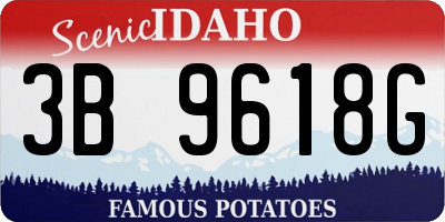 ID license plate 3B9618G