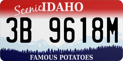 ID license plate 3B9618M