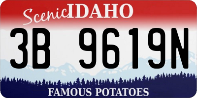 ID license plate 3B9619N