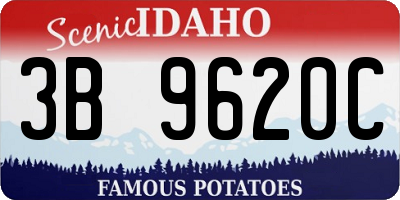ID license plate 3B9620C