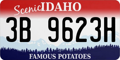 ID license plate 3B9623H