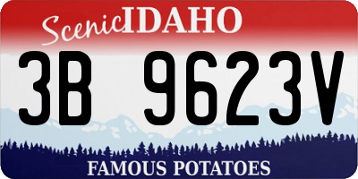 ID license plate 3B9623V
