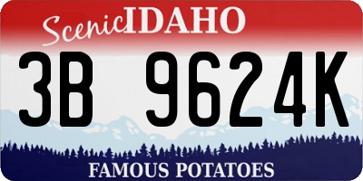 ID license plate 3B9624K