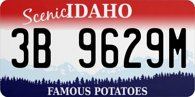ID license plate 3B9629M