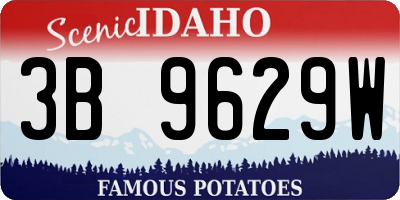 ID license plate 3B9629W