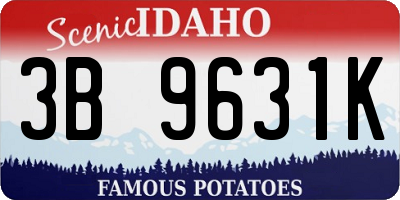 ID license plate 3B9631K
