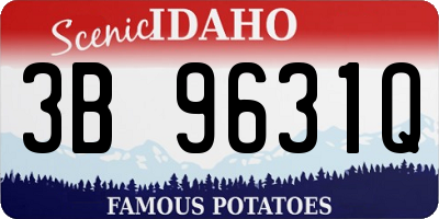 ID license plate 3B9631Q