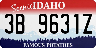 ID license plate 3B9631Z