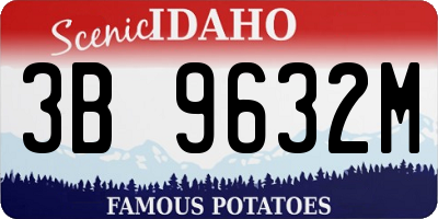 ID license plate 3B9632M