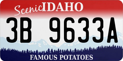 ID license plate 3B9633A