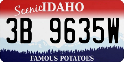 ID license plate 3B9635W