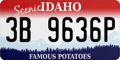 ID license plate 3B9636P
