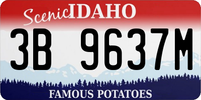 ID license plate 3B9637M