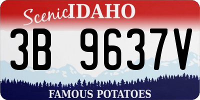 ID license plate 3B9637V