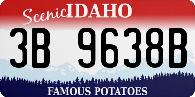 ID license plate 3B9638B