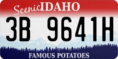 ID license plate 3B9641H