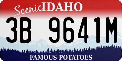 ID license plate 3B9641M