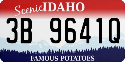 ID license plate 3B9641Q