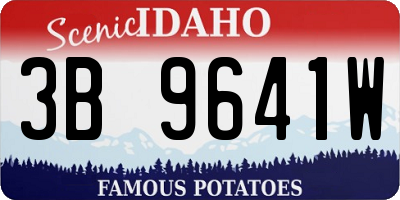 ID license plate 3B9641W