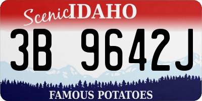ID license plate 3B9642J