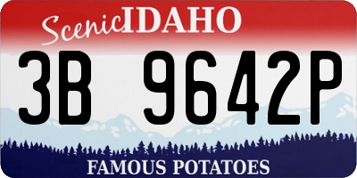 ID license plate 3B9642P
