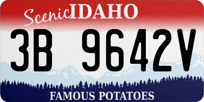 ID license plate 3B9642V