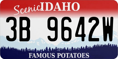 ID license plate 3B9642W