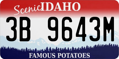 ID license plate 3B9643M