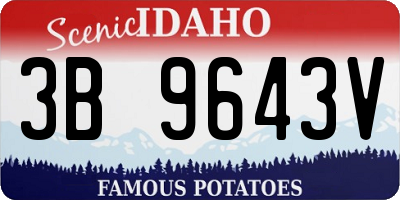 ID license plate 3B9643V
