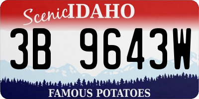 ID license plate 3B9643W