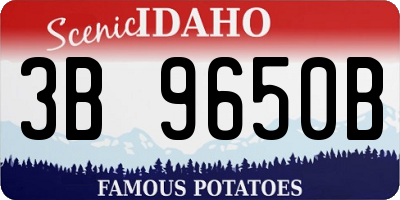ID license plate 3B9650B