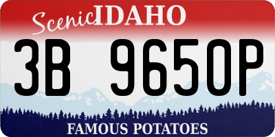 ID license plate 3B9650P