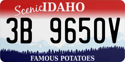 ID license plate 3B9650V