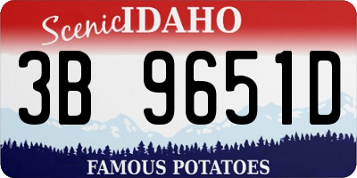 ID license plate 3B9651D